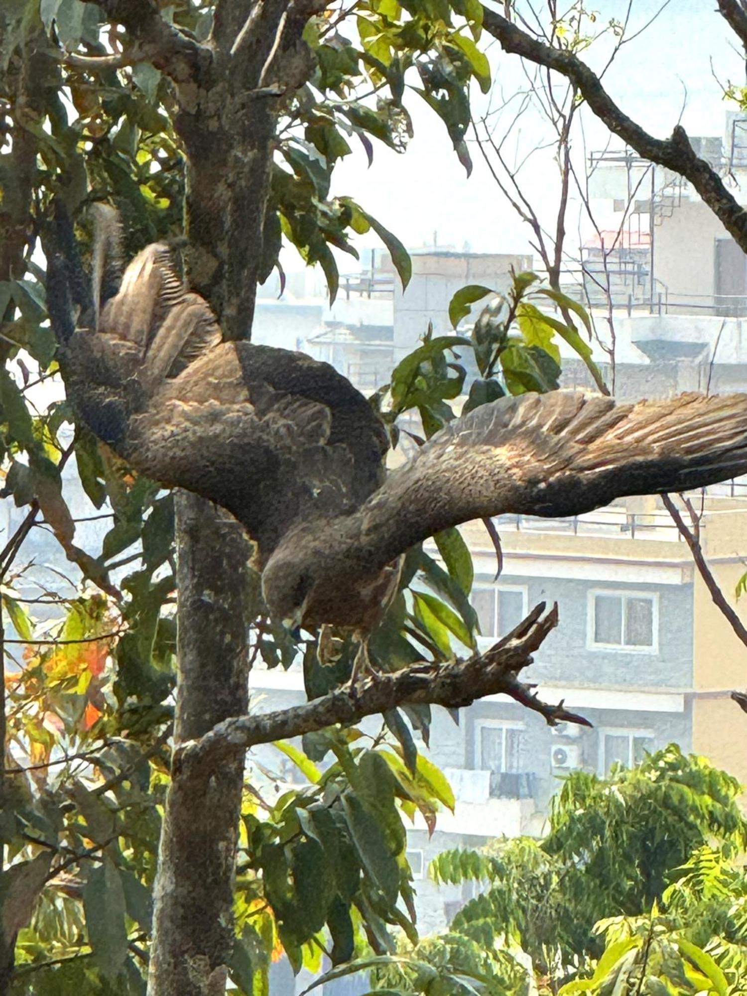 Homeland Forest Villa Pokhara Esterno foto