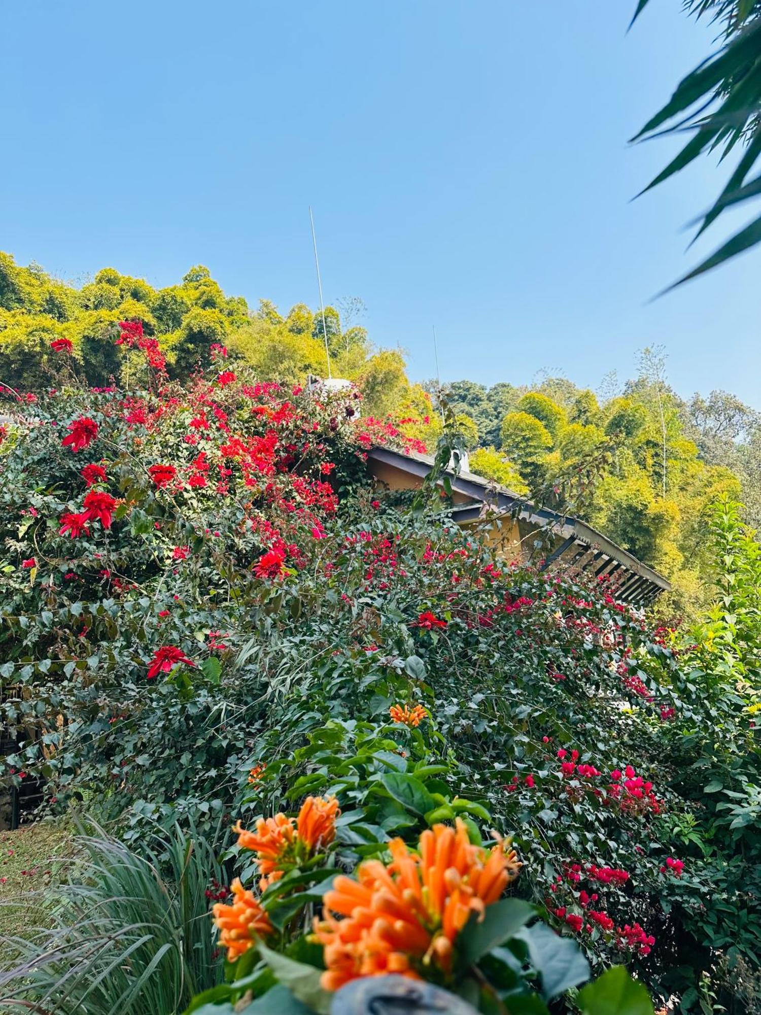 Homeland Forest Villa Pokhara Esterno foto