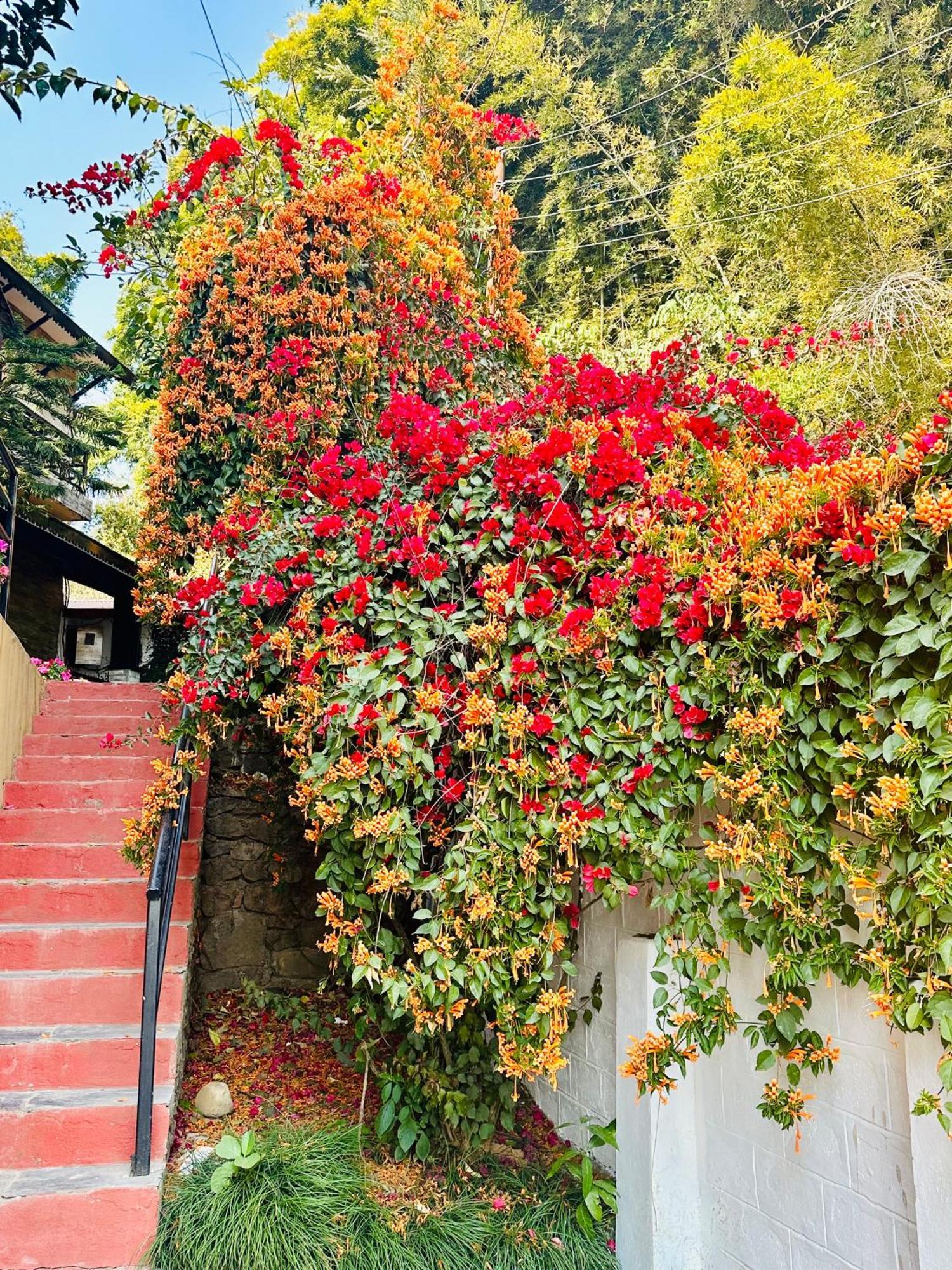 Homeland Forest Villa Pokhara Esterno foto